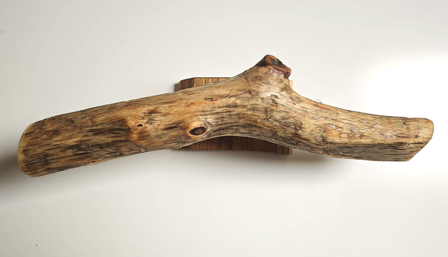 Driftwood Bracelet Display "T"