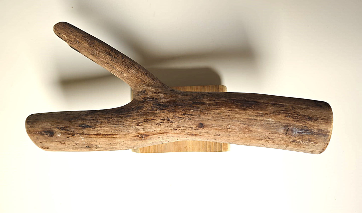 Driftwood Bracelet Stand - TRIDENT
